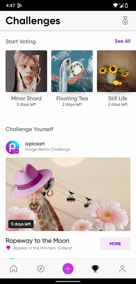 PicsArt Mod APK S2